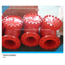 DIN Swing Type Flanged End Cast Iron Check Valve